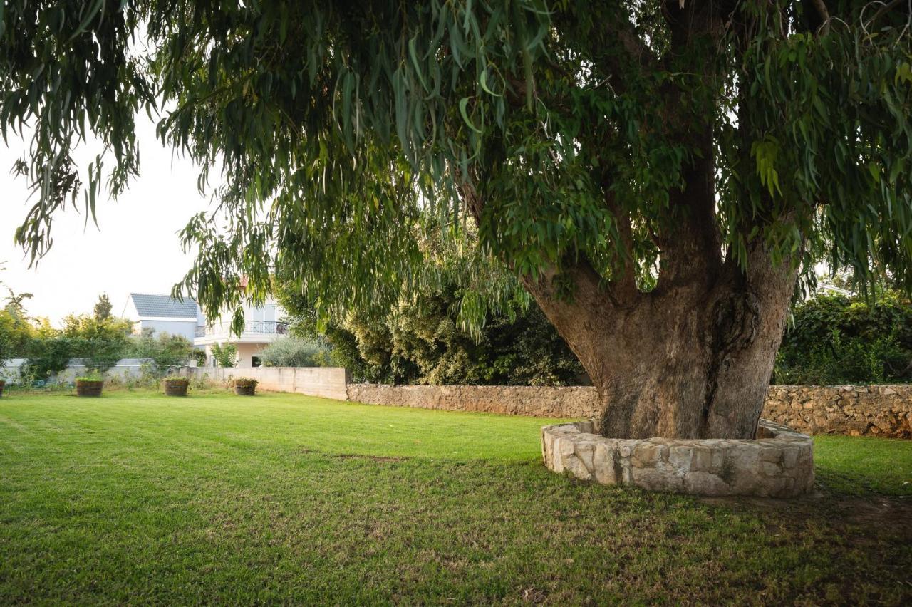 Cedar Tree Villa Kounoupidhianá Extérieur photo