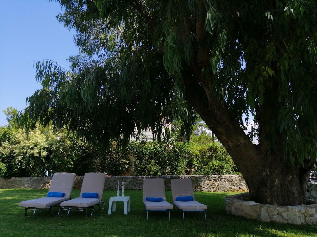 Cedar Tree Villa Kounoupidhianá Extérieur photo